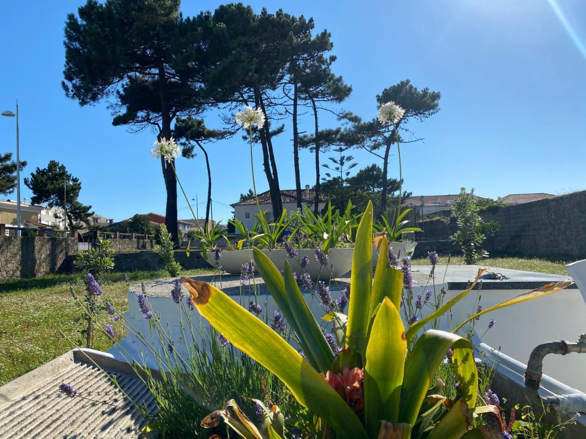 Beach House With Swimming Pool Vila do Conde Exteriér fotografie